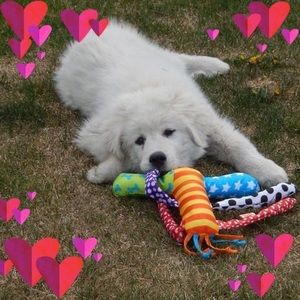 Meet your Posher, Sandra